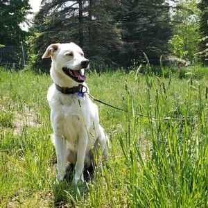 Meet your Posher, Sweet